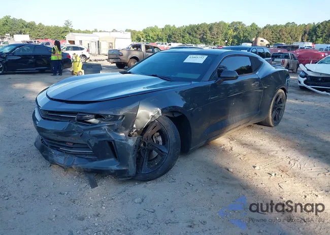 1G1FB1RSXH0157862: 43005752