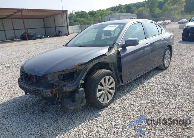 1HGCR3F84EA032213: 43005013