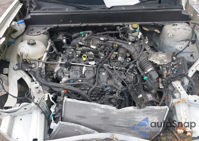 3FTTW8C93RRA14069: 43005111