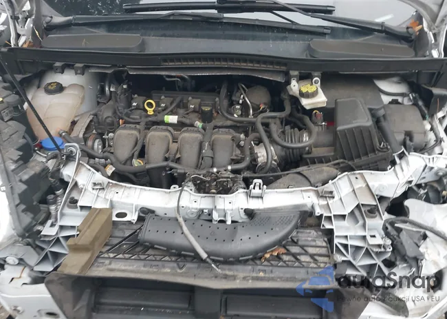 NM0LS7F21K1382803: 43005159