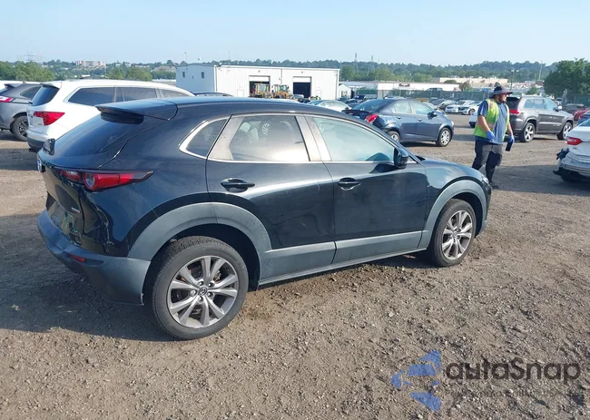 3MVDMBCL9LM116837: 43005228