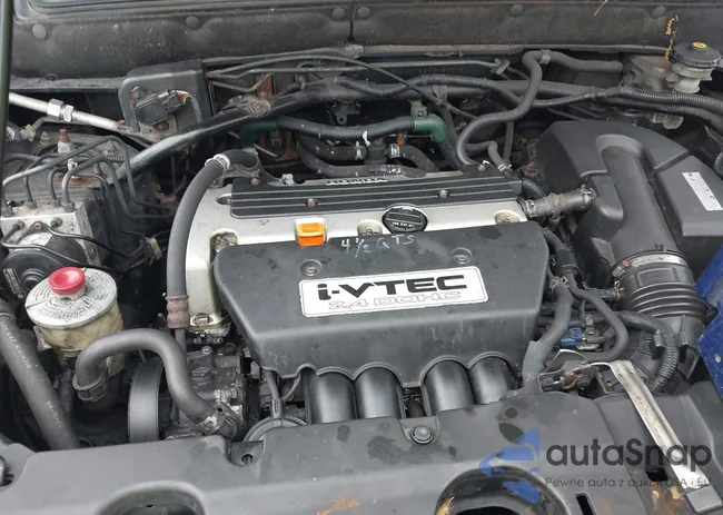 SHSRD78896U433754: 43006628