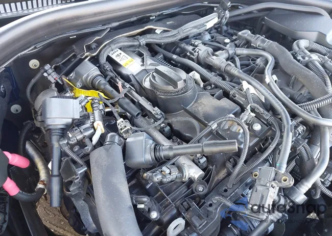 3MW69FF01P8D11525: 43006707