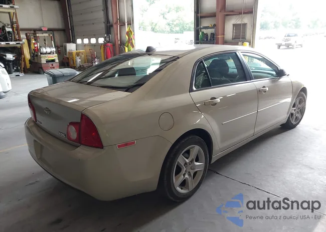 1G1ZB5E01CF245004: 43005901