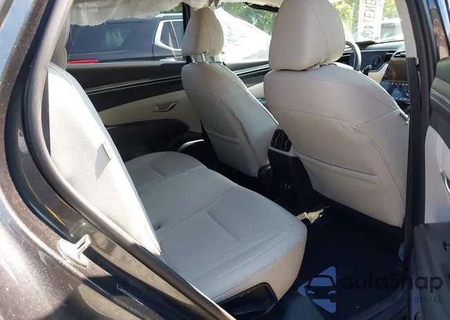 5NMJF3DE3RH296381: 43006133