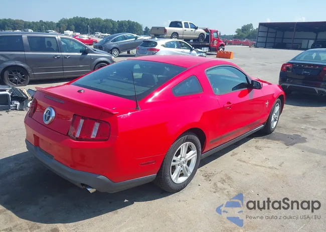 1ZVBP8AM3C5226123: 43006209