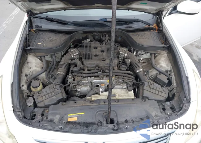 JN1CV6AP9BM504445: 43006273