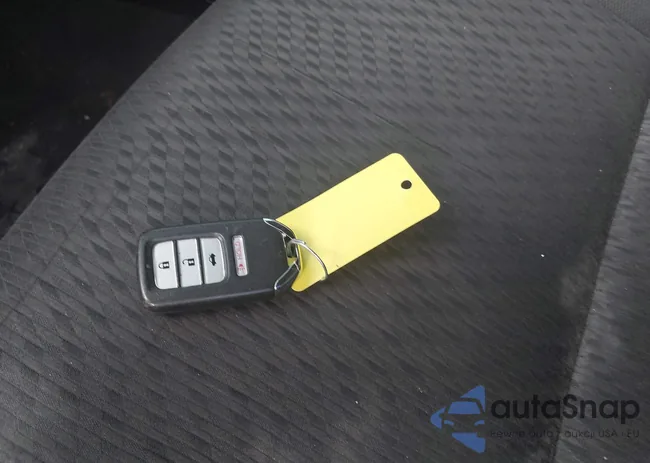 19XFB2F88FE034510: 43007432