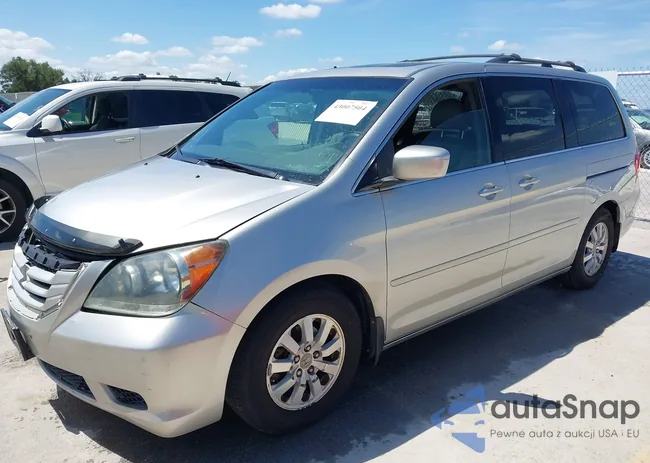 5FNRL38719B052351: 43007504