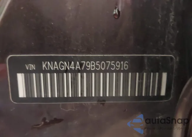 KNAGN4A79B5075916: 43007627