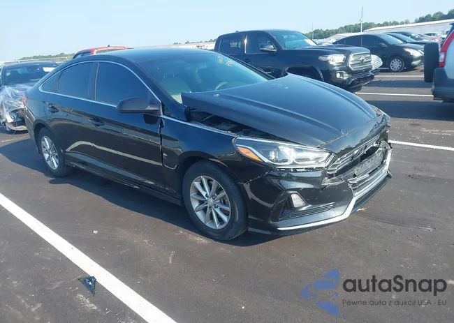 5NPE24AF3KH802753: 43006901