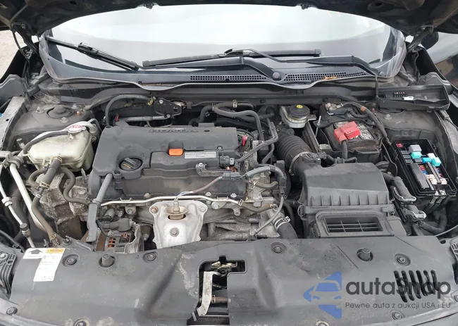 2HGFC2F74JH598934: 43006969