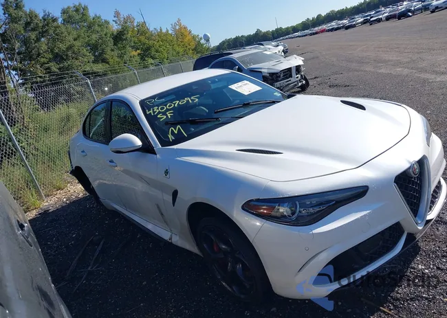 ZARFAEAVXH7560583: 43007095