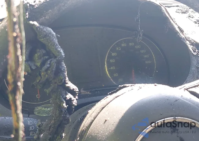 WAUCCGFF6F1049308: 43007113