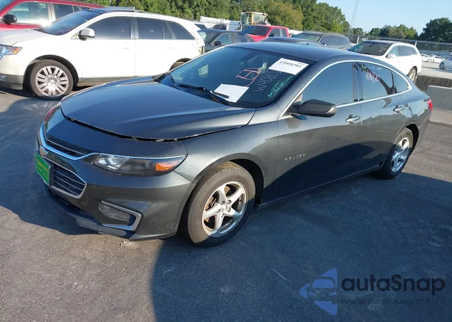 1G1ZC5ST5JF177878: 43008381