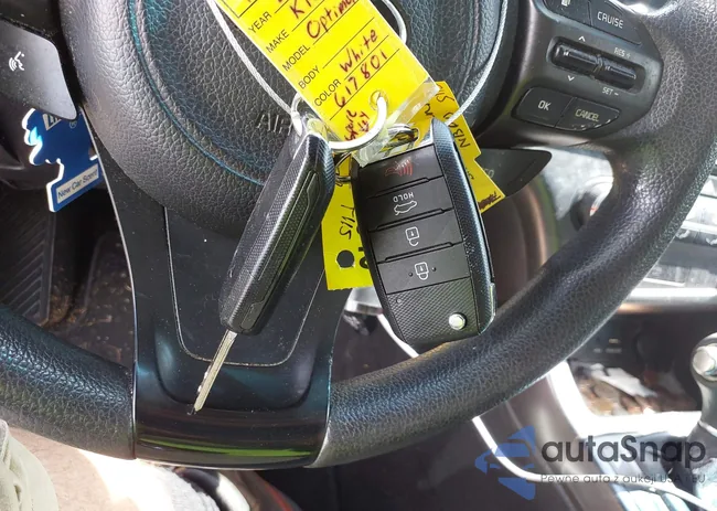 KNAGM4A77F5617801: 43007891