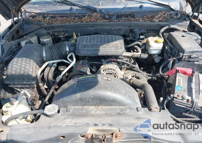 1D7RW3GK7BS712890: 43007926