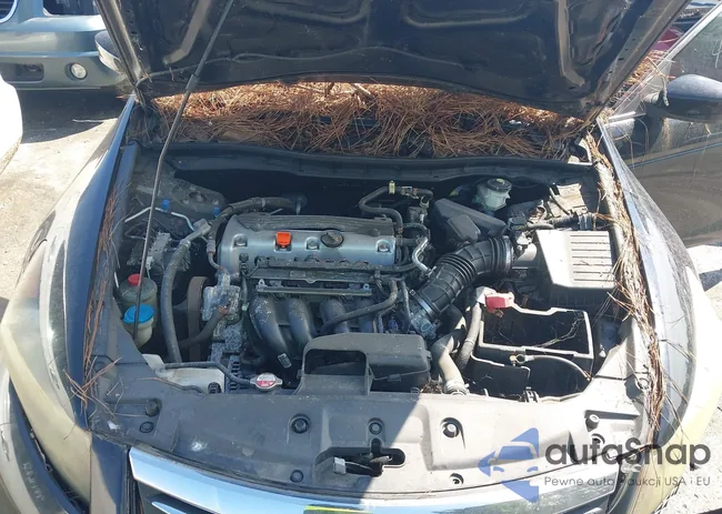 1HGCP2F66BA136132: 43009469