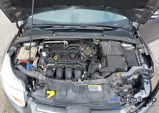 1FADP3F24EL234970: 43010597