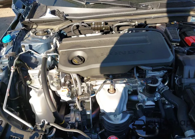 2HGFE2F53SH585246: 43010011