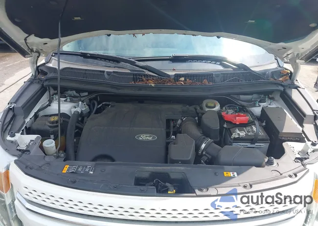 1FM5K7F89DGA65282: 43010272