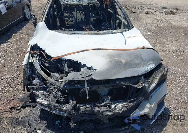 2HGFE2F22PH562179: 43011488