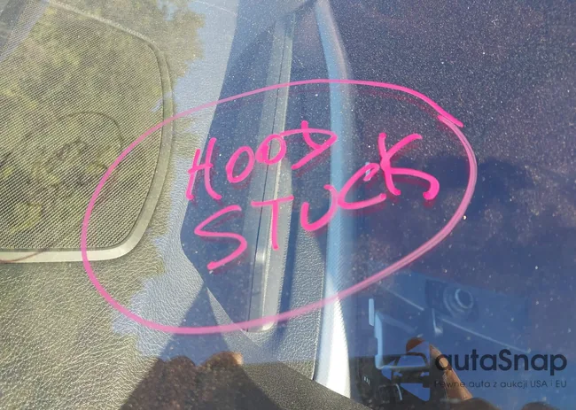 WBA3B3C50DF535877: 43010945