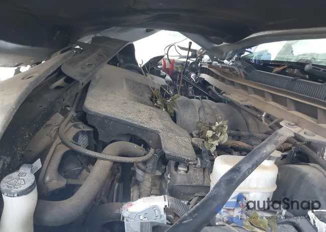 3GCPCREC2HG199797: 43010950