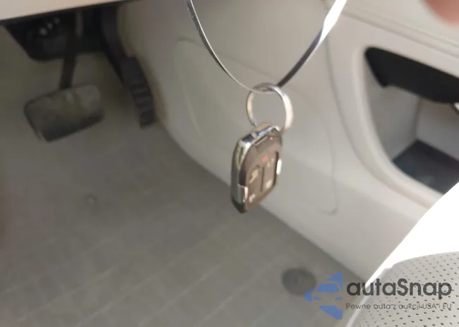 1GKKNPLS0NZ117245: 43012949