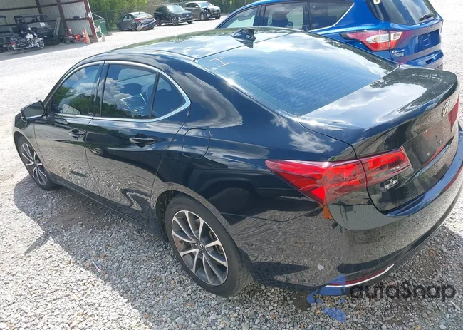 19UUB2F52FA019485: 43014417