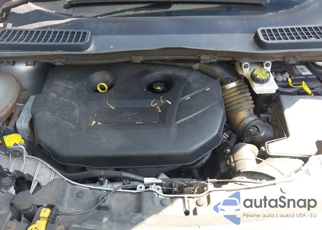 1FMCU0G93HUA52227: 43014548