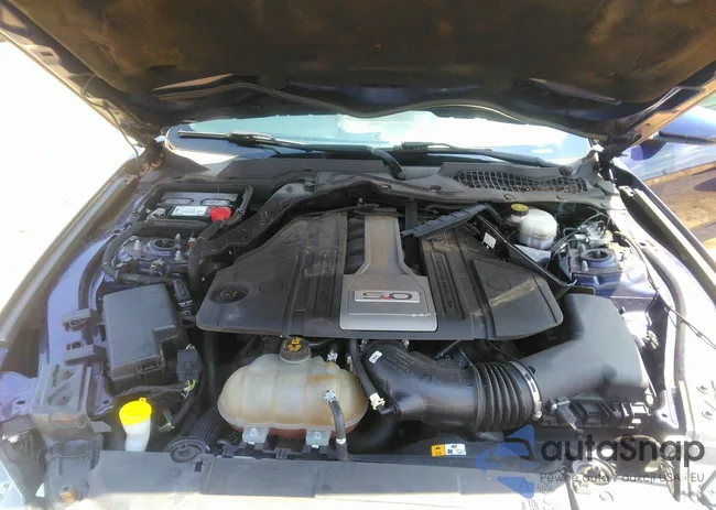 1FA6P8CF1J5137544: 43014628