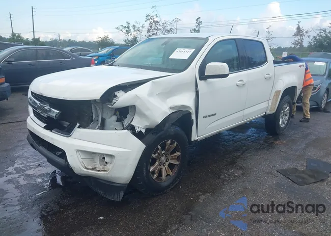 1GCGTCE30G1239563: 43015347