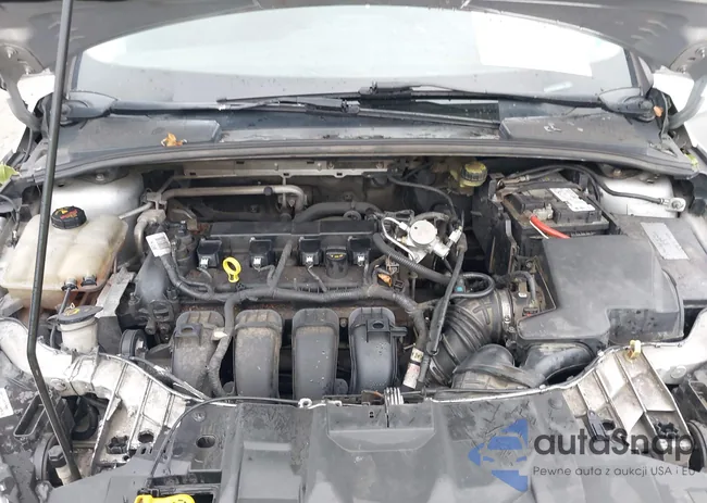 1FADP3F24FL250846: 43014955