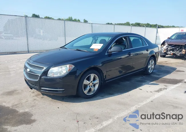 1G1ZD5E13BF208991: 43016318