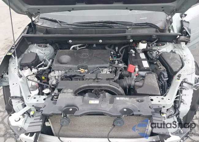 2T3P1RFV8MC144529: 43016608