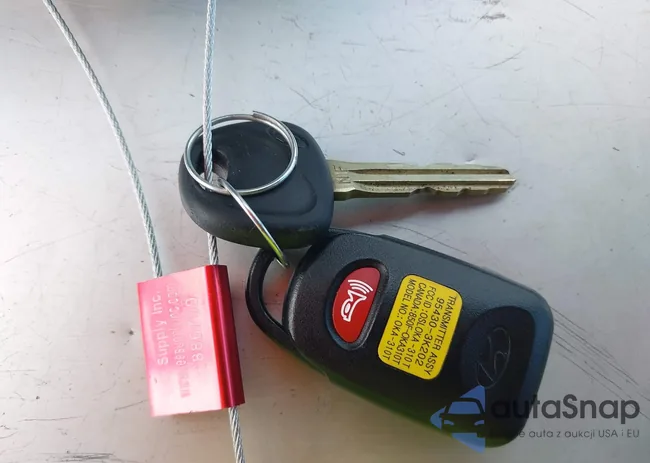 5NPEU46F99H509341: 43016705