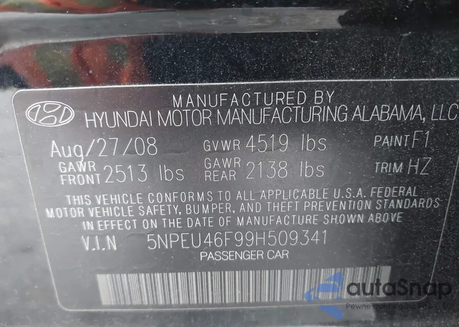 5NPEU46F99H509341: 43016705