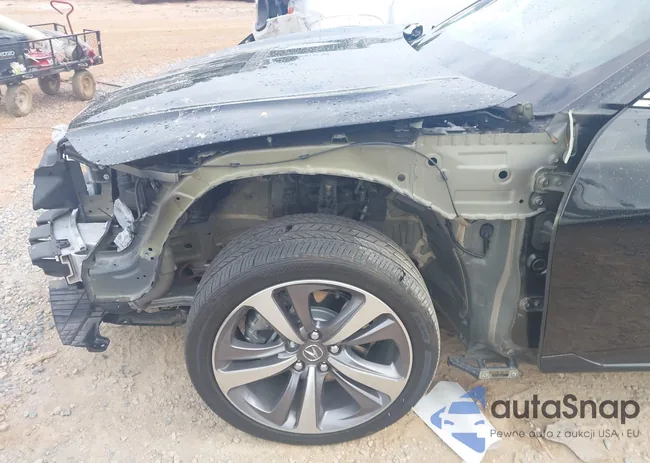 19UUB5F68MA003962: 43016074