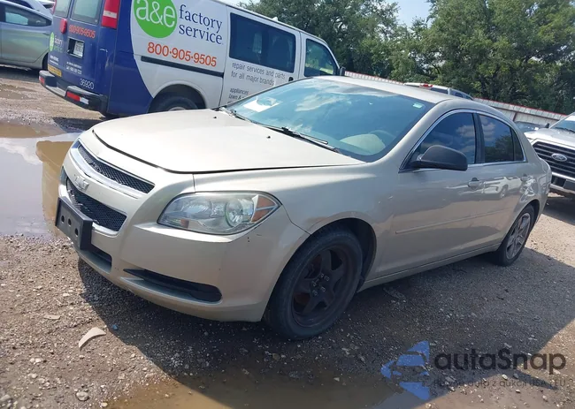 1G1ZB5E03CF106864: 43016130