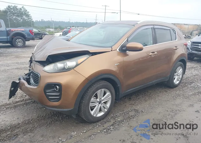 KNDPMCAC2H7287924: 43016195