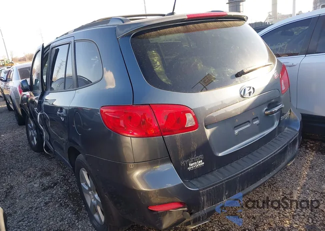 5NMSH13E89H244569: 43016223