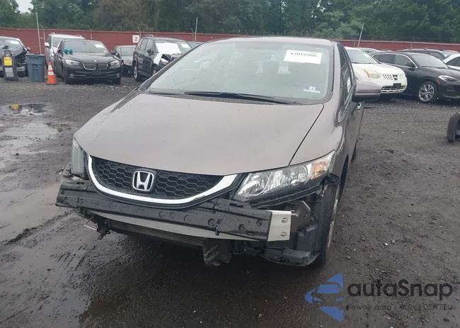 19XFB2F50FE229619: 43016966