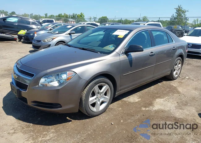 1G1ZB5E09CF234395: 43016979