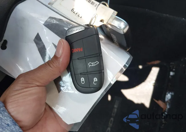 2C3CDXBG5DH669696: 43018828