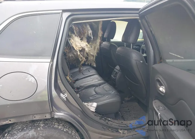 1C4PJMDX9KD118053: 43018173