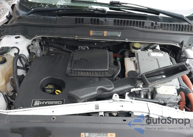 3FA6P0LU4FR202410: 43019318