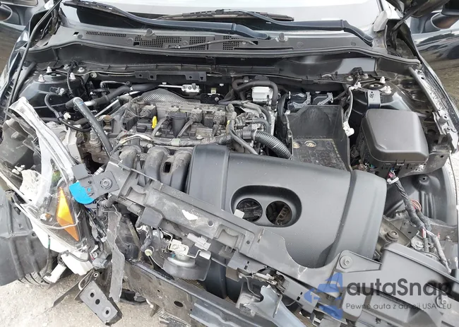 3MYDLBYV5KY500931: 43019411