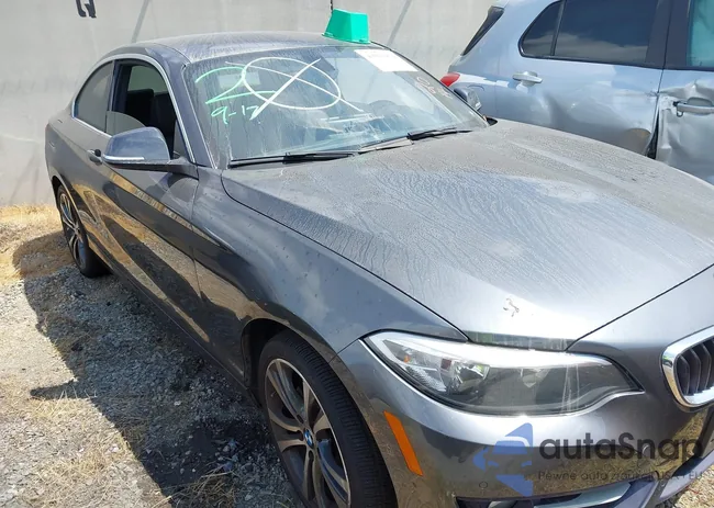 WBA1F9C56GV545175: 43019474