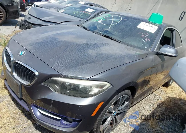 WBA1F9C56GV545175: 43019474